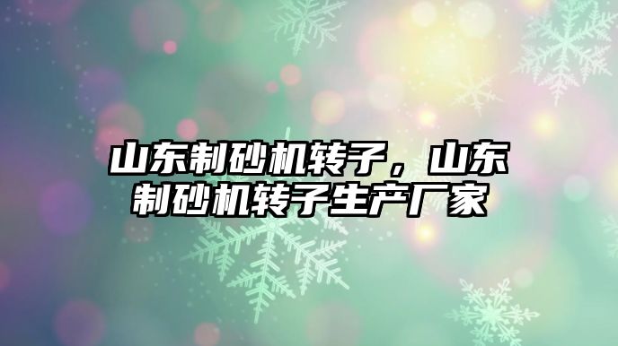 山東制砂機轉子，山東制砂機轉子生產廠家