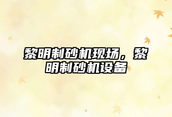 黎明制砂機現場，黎明制砂機設備