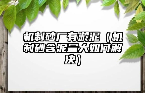 機制砂廠有淤泥（機制砂含泥量大如何解決）