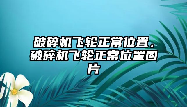 破碎機飛輪正常位置，破碎機飛輪正常位置圖片