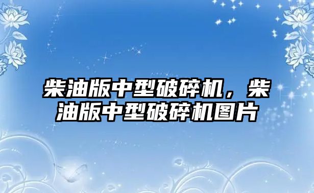 柴油版中型破碎機，柴油版中型破碎機圖片