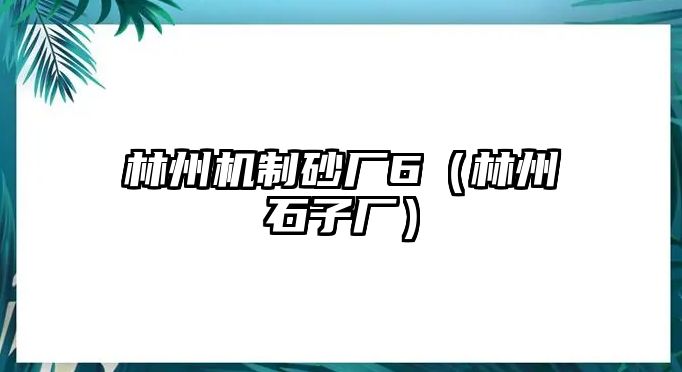 林州機(jī)制砂廠6（林州石子廠）