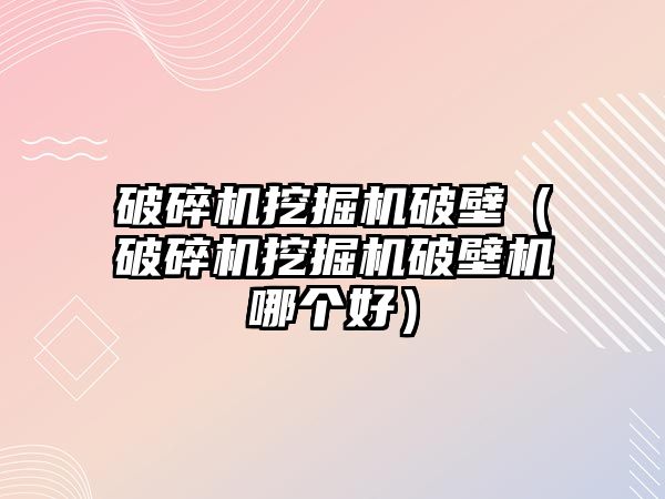 破碎機挖掘機破壁（破碎機挖掘機破壁機哪個好）