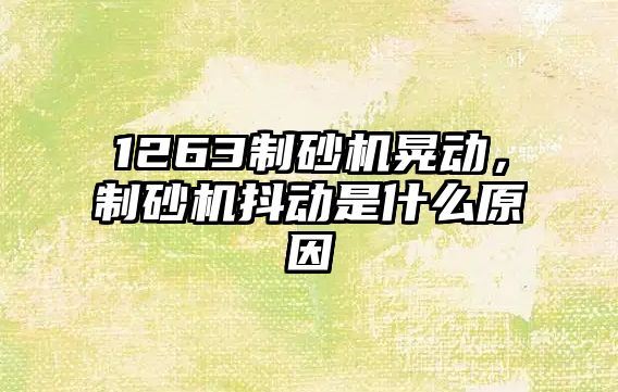 1263制砂機晃動，制砂機抖動是什么原因