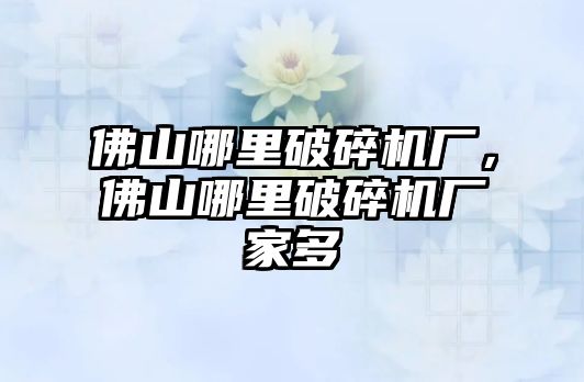 佛山哪里破碎機廠，佛山哪里破碎機廠家多