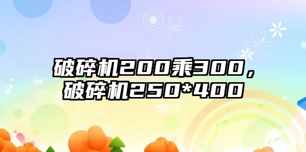 破碎機200乘300，破碎機250*400