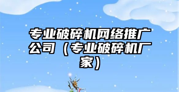 專業破碎機網絡推廣公司（專業破碎機廠家）