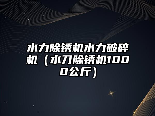 水力除銹機水力破碎機（水刀除銹機1000公斤）