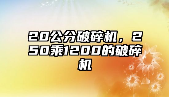 20公分破碎機(jī)，250乘1200的破碎機(jī)