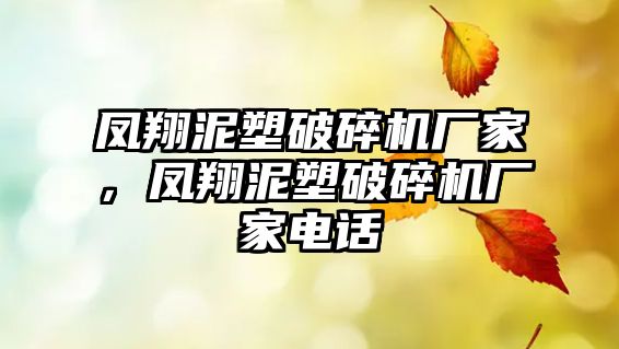 鳳翔泥塑破碎機廠家，鳳翔泥塑破碎機廠家電話