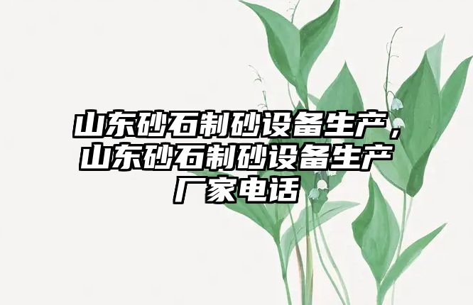 山東砂石制砂設備生產，山東砂石制砂設備生產廠家電話