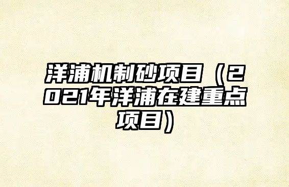 洋浦機制砂項目（2021年洋浦在建重點項目）