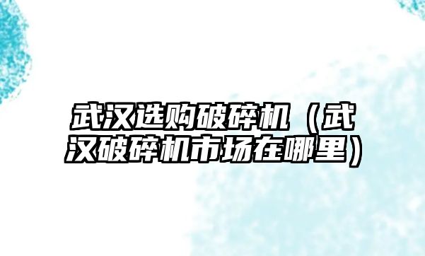 武漢選購破碎機（武漢破碎機市場在哪里）