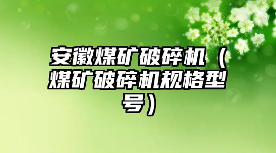 安徽煤礦破碎機（煤礦破碎機規格型號）