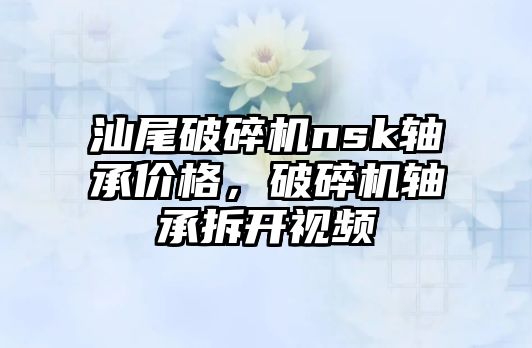 汕尾破碎機nsk軸承價格，破碎機軸承拆開視頻