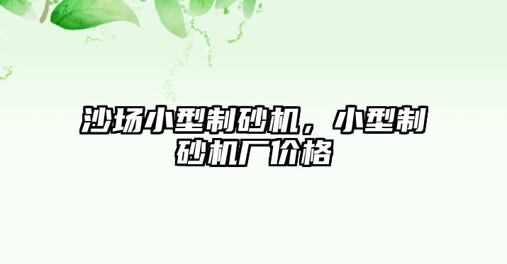 沙場小型制砂機，小型制砂機廠價格