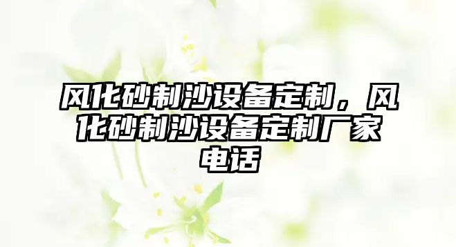 風化砂制沙設備定制，風化砂制沙設備定制廠家電話