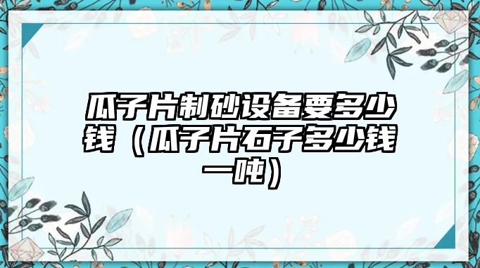 瓜子片制砂設(shè)備要多少錢（瓜子片石子多少錢一噸）