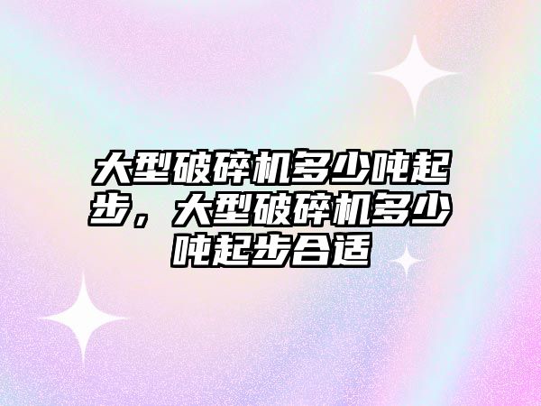 大型破碎機多少噸起步，大型破碎機多少噸起步合適