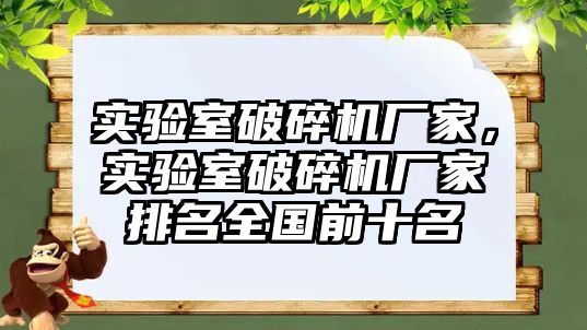 實驗室破碎機廠家，實驗室破碎機廠家排名全國前十名