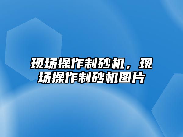 現場操作制砂機，現場操作制砂機圖片