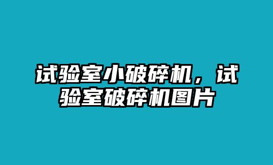 試驗(yàn)室小破碎機(jī)，試驗(yàn)室破碎機(jī)圖片