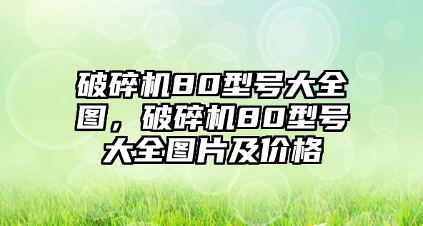 破碎機(jī)80型號(hào)大全圖，破碎機(jī)80型號(hào)大全圖片及價(jià)格