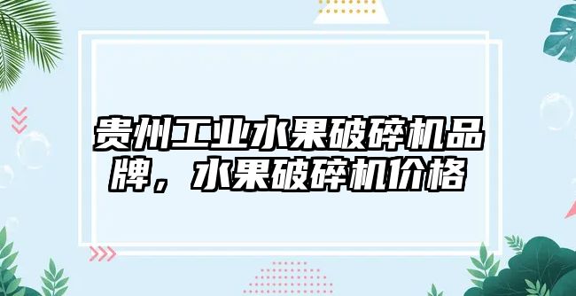 貴州工業(yè)水果破碎機品牌，水果破碎機價格