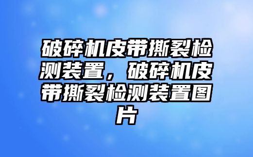 破碎機皮帶撕裂檢測裝置，破碎機皮帶撕裂檢測裝置圖片