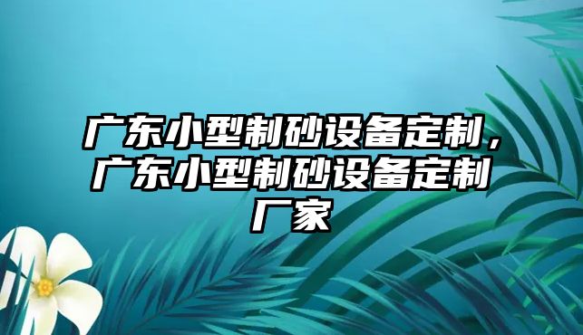 廣東小型制砂設備定制，廣東小型制砂設備定制廠家