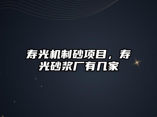 壽光機制砂項目，壽光砂漿廠有幾家